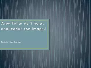 rea foliar de 3 hojas analizadas con imagej