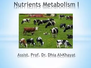 Nutrients Metabolism I Assist. Prof. Dr. Dhia Al- Khayat