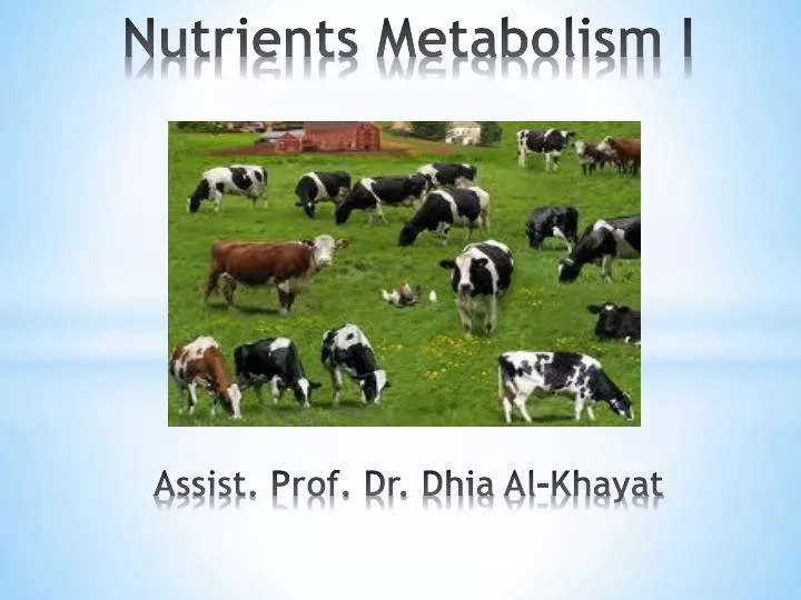 nutrients metabolism i assist prof dr dhia al khayat