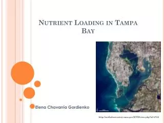 Nutrient Loading in Tampa Bay