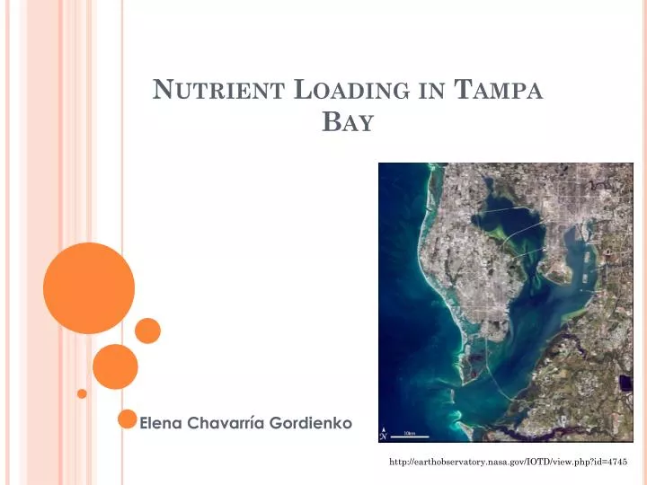 nutrient loading in tampa bay