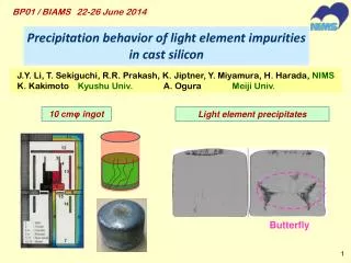Precipitation behavior of light element impurities in cast silicon