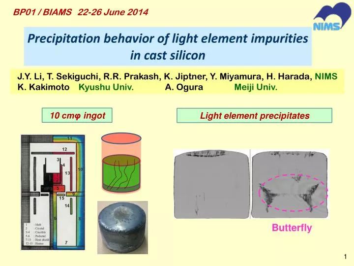 precipitation behavior of light element impurities in cast silicon