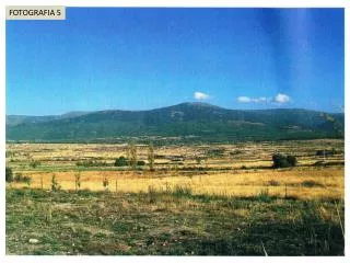 FOTOGRAFIA 5