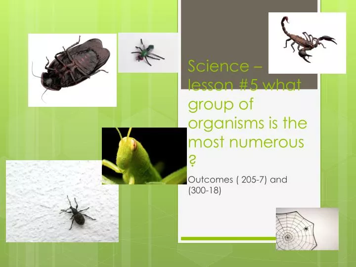 science lesson 5 what group of organisms is the most numerous
