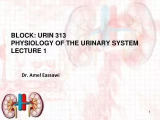 Block: URIN 313 Physiology of THE URINARY SYSTEM Lecture 1