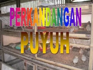 PERKANDANGAN