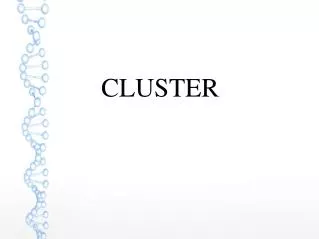 CLUSTER