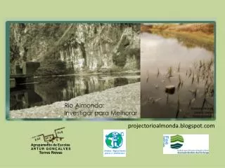 projectorioalmonda blogspot com