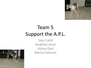 Team 5 Support the A.P.L.