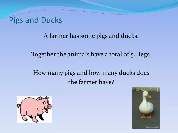 pigs and ducks