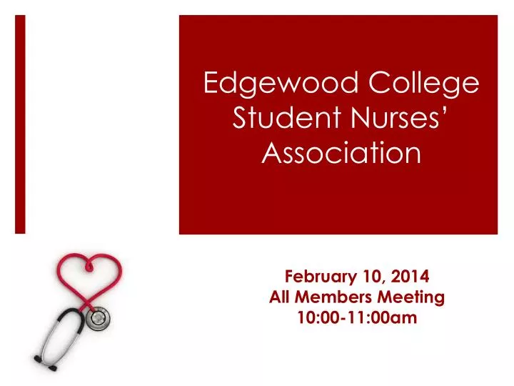 edgewood college student nurses association