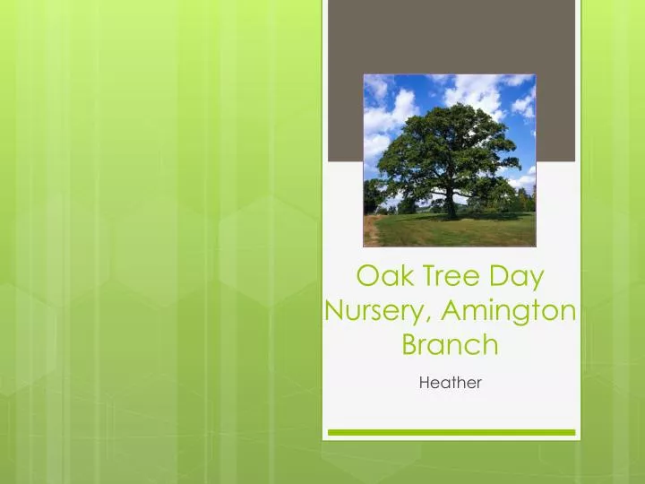 oak tree day nursery amington branch