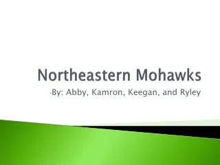 Northeastern Mohawks