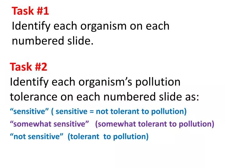 task 1 identify each organism on each numbered slide