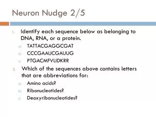 Neuron Nudge 2/5