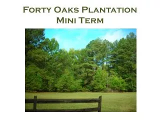 Forty Oaks Plantation Mini Term