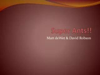 Super Ants!!