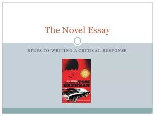 The Novel Essay