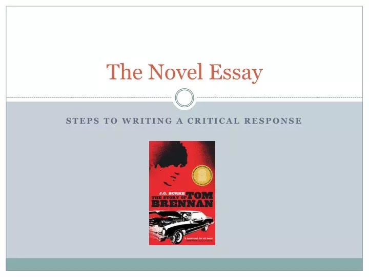 the novel essay