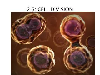 2.5: CELL DIVISION