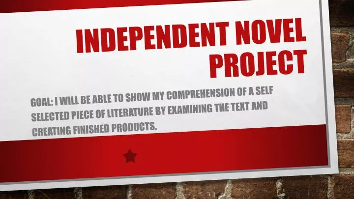 independent novel project
