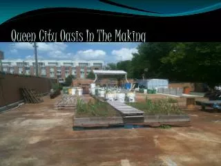 Queen City Oasis In The Making
