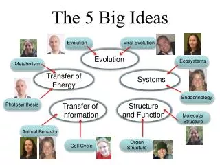 The 5 Big Ideas