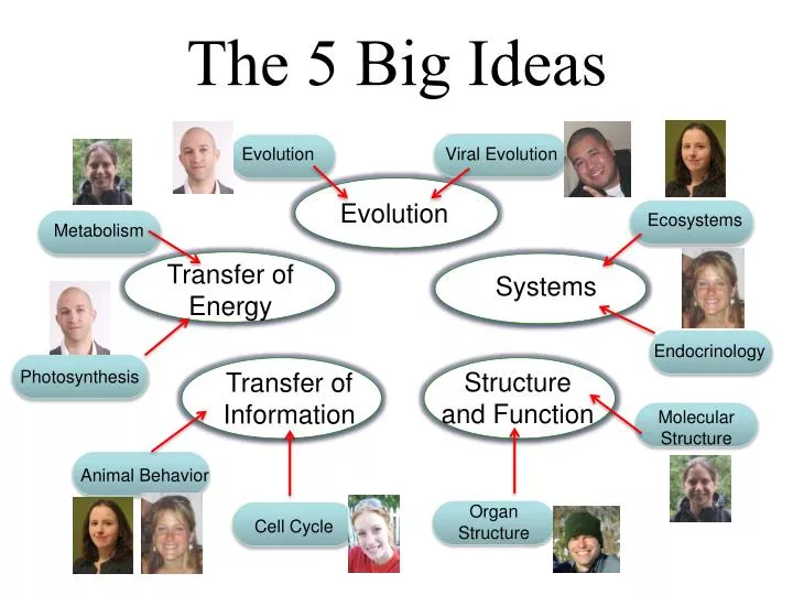 the 5 big ideas