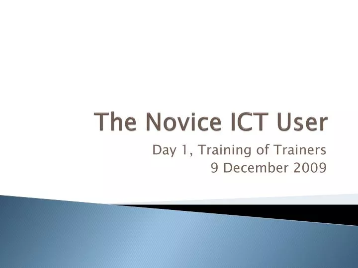 the novice ict user