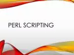 Understanding Perl Scripting and Computer Basics: A Comprehensive Guide - slide 1