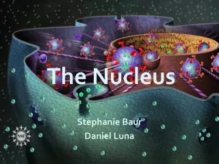 The Nucleus