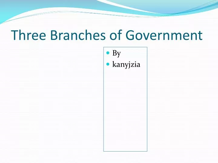 three branches of government