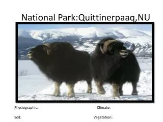 National Park:Quittinerpaaq,NU