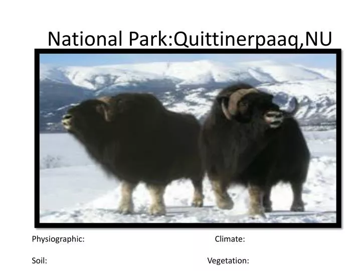 national park quittinerpaaq nu