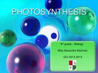 PHOTOSYNTHESIS