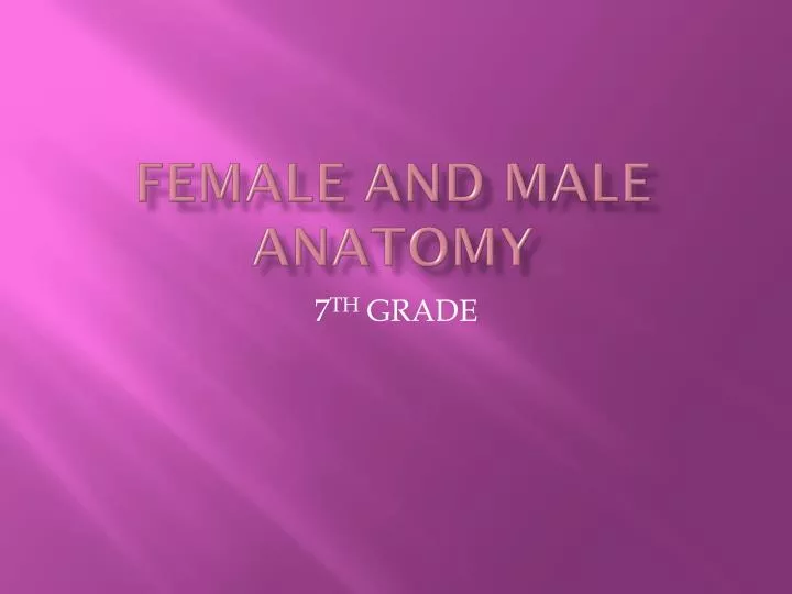 female and male anatomy
