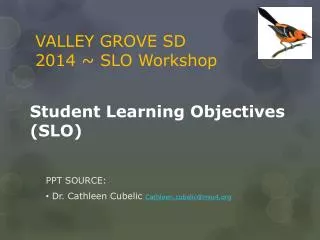 Student Learning Objectives (SLO)