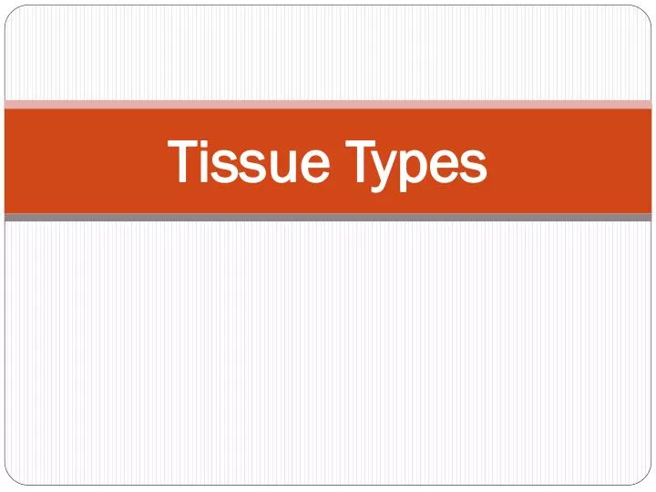 tissue types