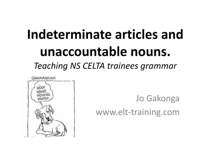 indeterminate articles and unaccountable nouns teaching ns celta trainees grammar