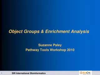Object Groups &amp; Enrichment Analysis