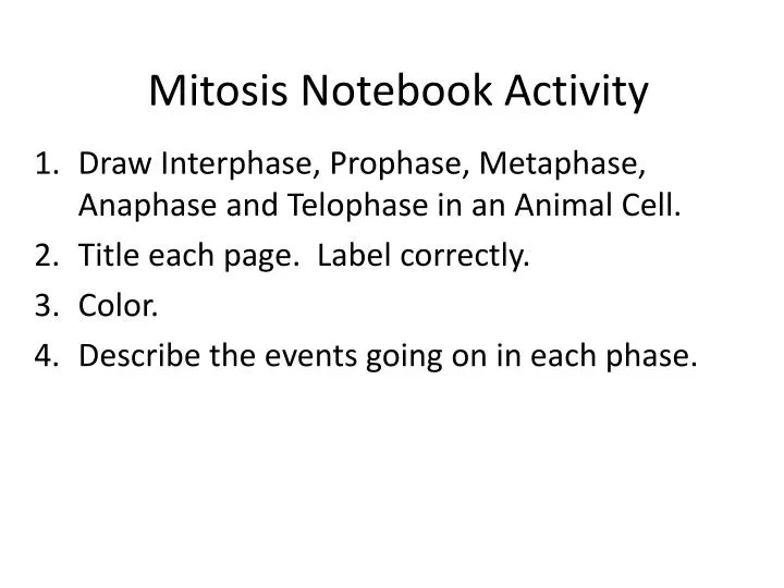 mitosis notebook activity