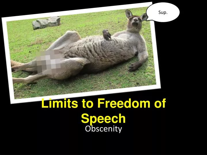 limits to freedom of speech