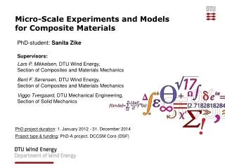 Micro-Scale Experiments and Models for Composite Materials