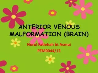 ANTERIOR VENOUS MALFORMATION (BRAIN)
