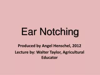 Ear Notching