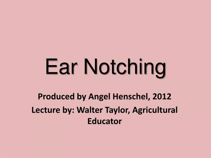ear notching