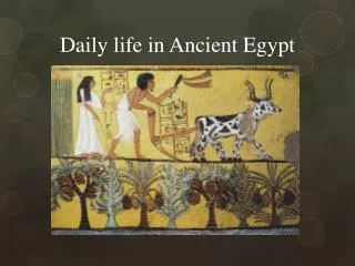 Daily life in Ancient Egypt