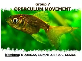 Group 7 OPERCULUM MOVEMENT