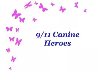 9/11 Canine Heroes
